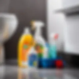 Essential cleaning supplies for toilet maintenance