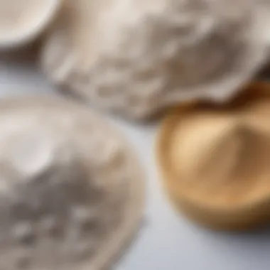 Exploring Various Types of Gypsum Plaster Different types of gypsum plaster