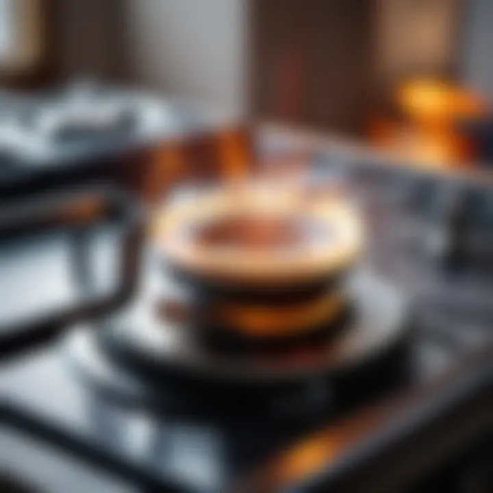 Close-up of Hansa stove burner igniting