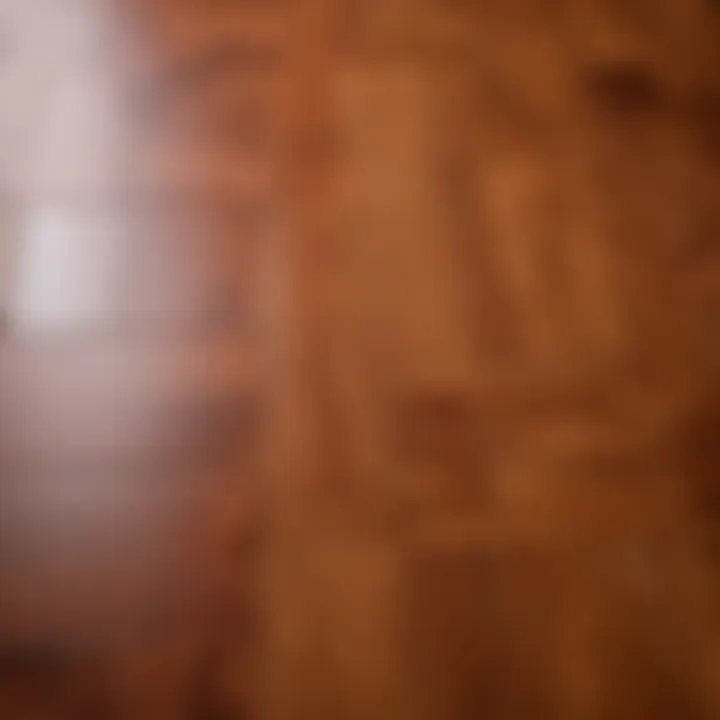 Close-up of high-quality linoleum with a glossy finish.