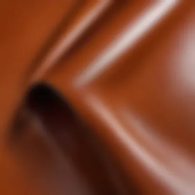 Close-up of high-quality liquid leather texture