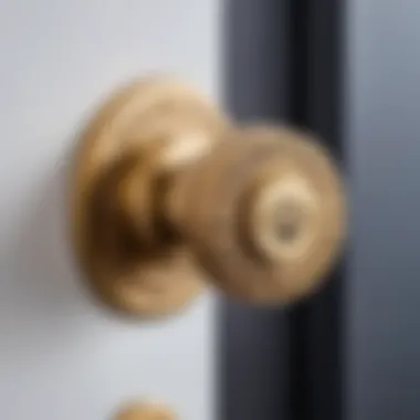 Close-up of a high-security door lock with intricate details