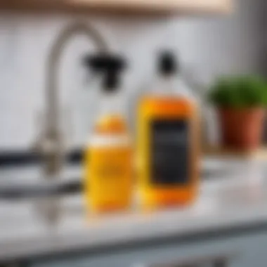 Homemade Cleaning Solutions Homemade cleaning solutions for appliances