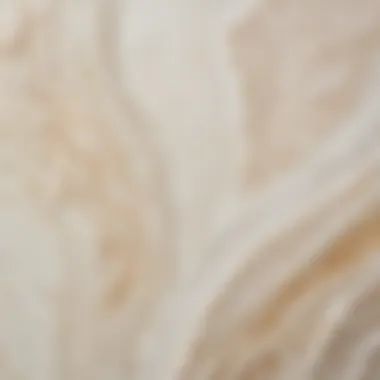 Alabaster Texture and Finish Close-up of alabaster texture and finish