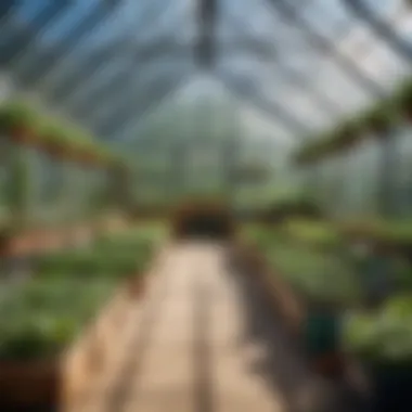 Different materials laid out for building a greenhouse, emphasizing versatility.