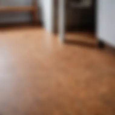 Tips for choosing the right linoleum