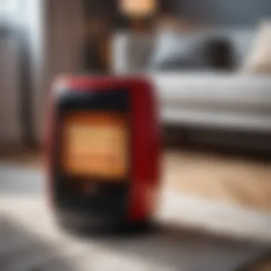 Portable heater offering flexibility for different rooms
