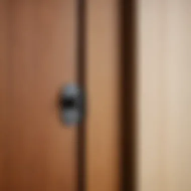 Exploring Door Materials for Quality Close-up of different door materials showcasing texture and quality