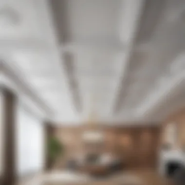Understanding Different Ceiling Types for Cleaning Comparison of different ceiling types requiring specific cleaning methods