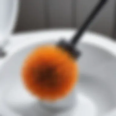 Close-up of toilet brush and cleaner