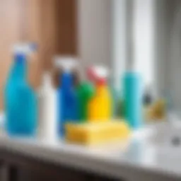 Various cleaning supplies arranged neatly on a bathroom countertop