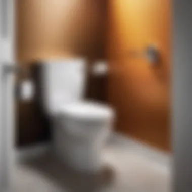 Achieving a Gleaming Finish for Your Toilet A sparkling clean toilet with gleaming surfaces