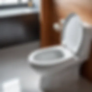 Spotless Toilet Bowl A sparkling clean toilet bowl reflecting light
