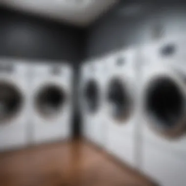 Understanding Various Dryer Types and Their Connections Different types of dryers