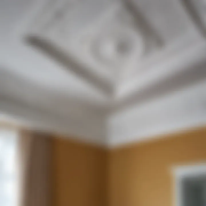 Successful installation of a ceiling cornice