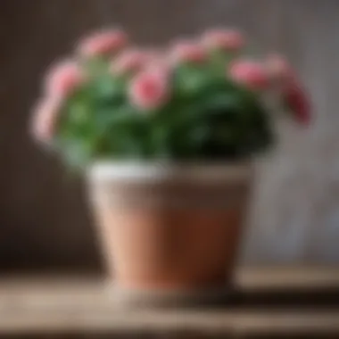 Vintage-inspired flower pot featuring rustic embellishments