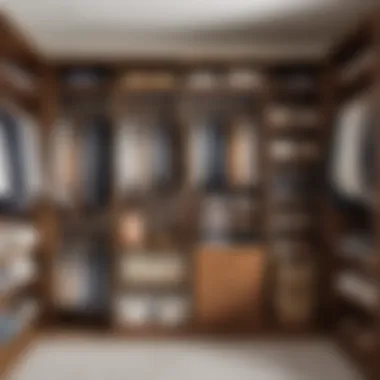 Closet Organization Essentials A well-organized closet space with shelves and hanging options