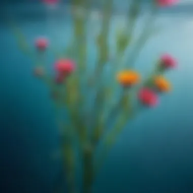 Close-up of flower stems in water, illustrating optimal conditions