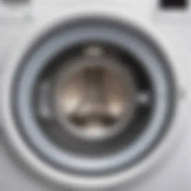 Inside a Washing Machine: Identifying the Source of Odors Interior view of a washing machine drum with stains