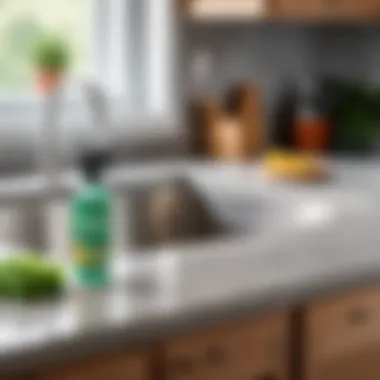 Natural cleaning agents displayed on a countertop