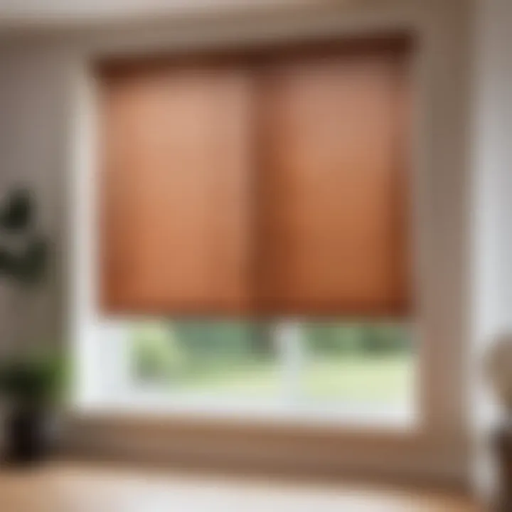 A well-maintained set of blinds enhancing a room's decor