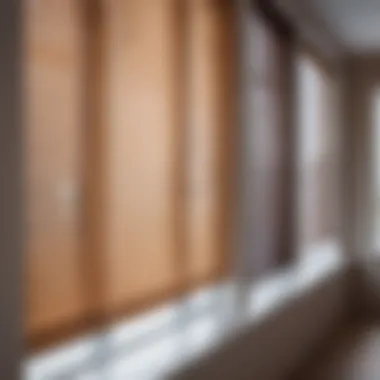 Exploring Various Types of Blinds Different types of blinds displayed elegantly