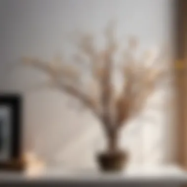 Decorative Arrangement of Dried Vines Dried vines arranged for decorative purposes
