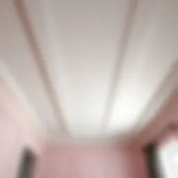 Clean and prepared ceiling ready for painting