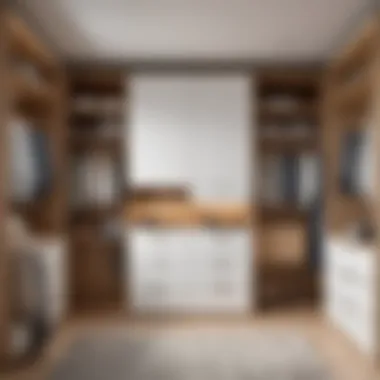Ergonomic Layout for Maximum Comfort Ergonomic layout of a thoughtfully designed wardrobe