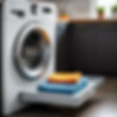 Maintenance Tips for Longevity Tips for maintaining a clean washing machine tray