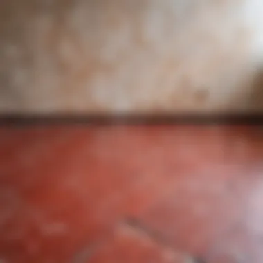 Transformation of a Damaged Linoleum Area Before and after repairing linoleum