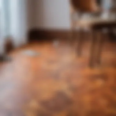 Preventive Care for Longevity of Linoleum Protective measures for linoleum maintenance