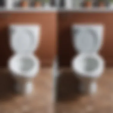 Transforming Your Toilet: Before and After Before and after toilet cleaning results