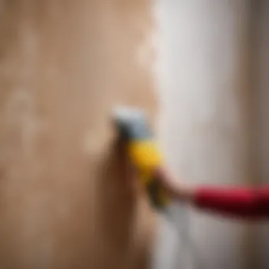 Protecting walls during wallpaper removal