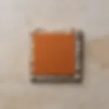 Close-up view of a tile with a chip needing repair