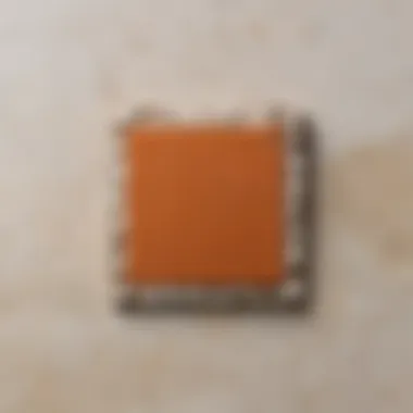 Close-up view of a tile with a chip needing repair