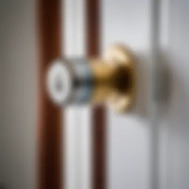 Exploring the Anatomy of a Door Lock Cylinder Detailed view of a door lock cylinder