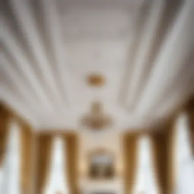 Different types of ceiling cornices displayed in an elegant setting