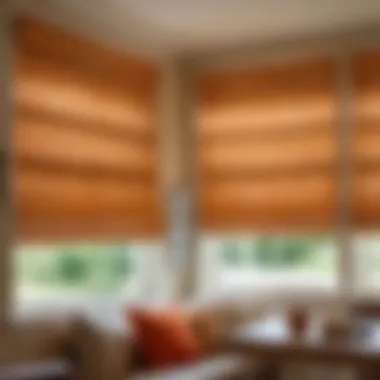 Creative Design Ideas for Roman Shades Different design sketches and patterns for customizing Roman shades to fit various styles.