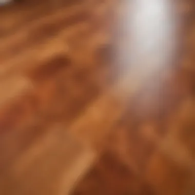 Luxurious Finish of a Seamless Linoleum Floor Finished linoleum floor with seamless appearance