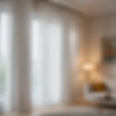Elegant Sheer Curtains Bright white sheer curtains hanging elegantly.