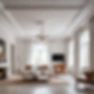 Elegant Whitewashed Ceiling Freshly whitewashed ceiling showcasing a modern interior