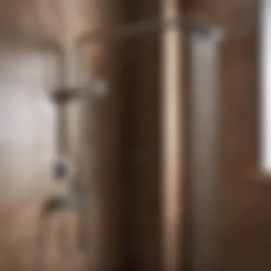 Maintenance Tips for Longevity Maintenance tips for hygienic showers