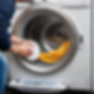 A person inspecting the inside of a washing machine drum