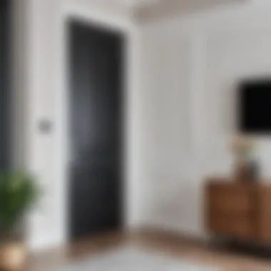 A Stylish Space Featuring a New Door Elegant interior with a newly installed door