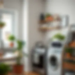 Как почистить стиральную машину в домашних условиях Introduction