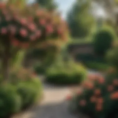 Ideal Garden Environment for Korndana Gorkunov Roses Lush garden setting for Korndana Gorkunov roses