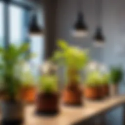 Different types of plant growth lamps showcasing their designs and features