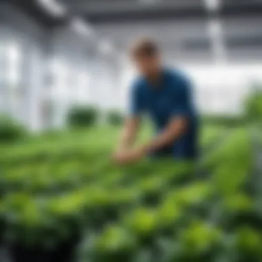 Selecting Optimal Plant Cover for Climatic Conditions A landscape designer selecting appropriate plant cover based on climatic conditions