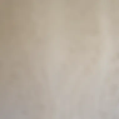 Exploring the Texture of Latex Paint Close-up of latex paint texture on a wall